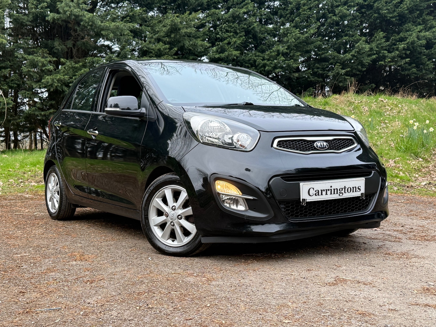 Used Kia Picanto 2012 for sale - 78078626: Photo 1