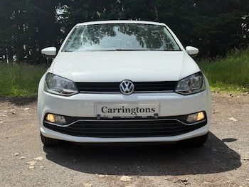 Used Volkswagen Polo 2016 for sale - 78909404: Photo