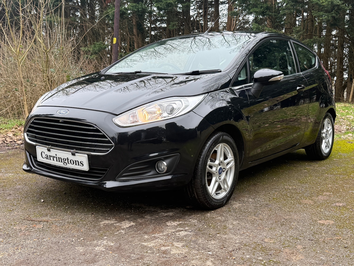 Used Ford Fiesta 2013 for sale - 77641776: Photo 3