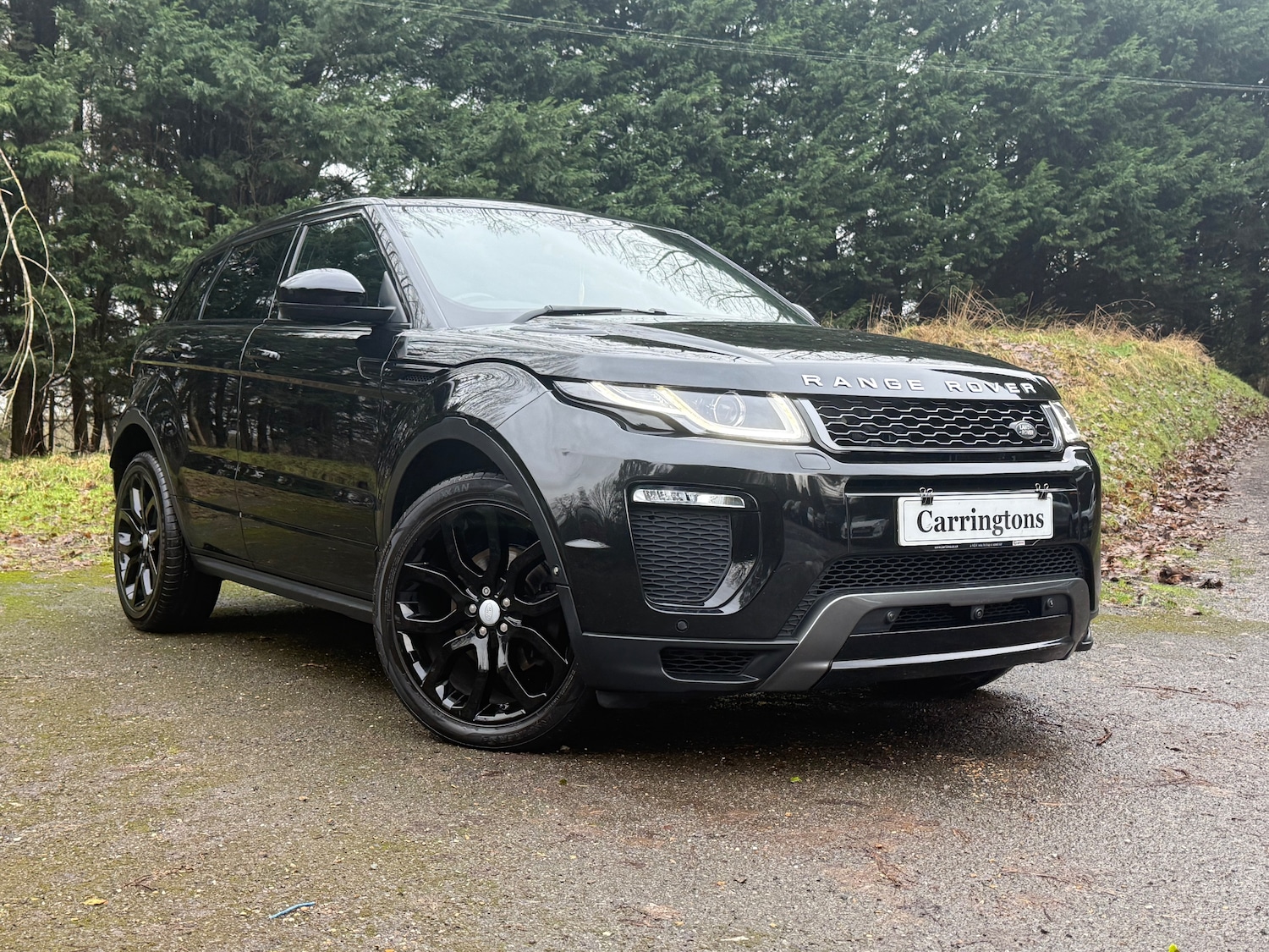 Used Land Rover Range Rover Evoque 2017 for sale - 77276791: Photo 1