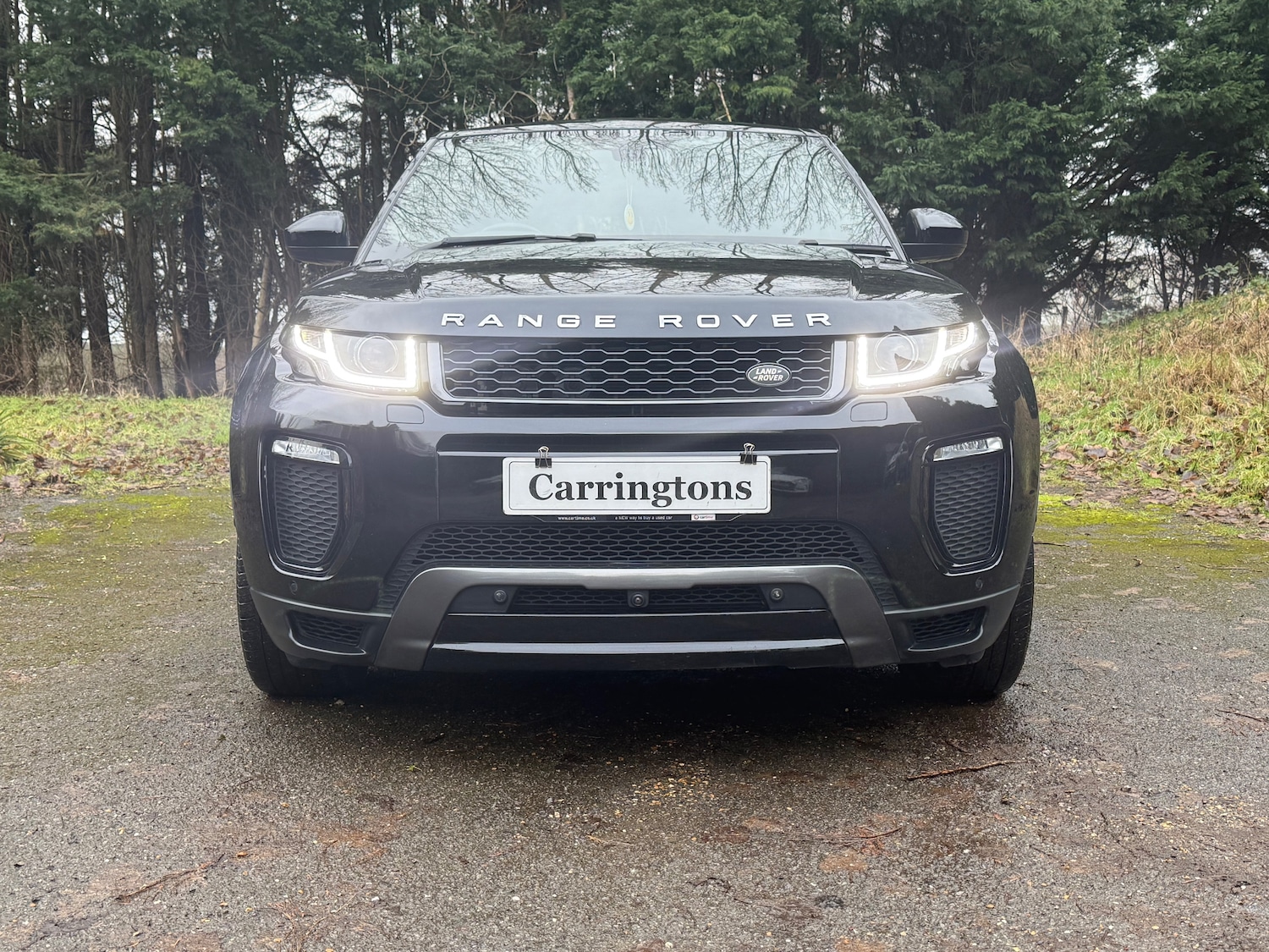 Used Land Rover Range Rover Evoque 2017 for sale - 77276791: Photo 2