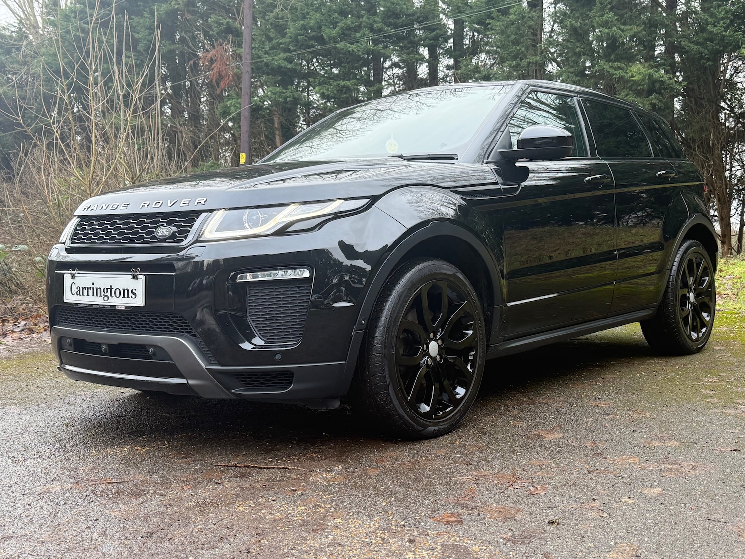 Used Land Rover Range Rover Evoque 2017 for sale - 77276791: Photo 3