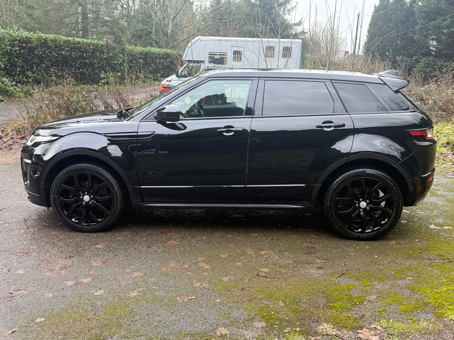 Used Land Rover Range Rover Evoque 2017 for sale - 77276791: Photo 4