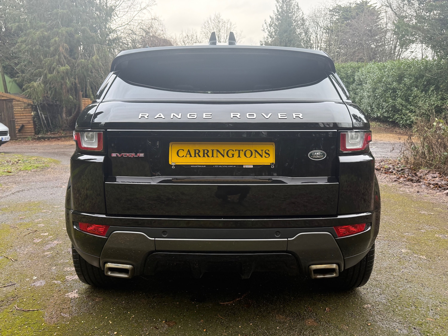 Used Land Rover Range Rover Evoque 2017 for sale - 77276791: Photo 6