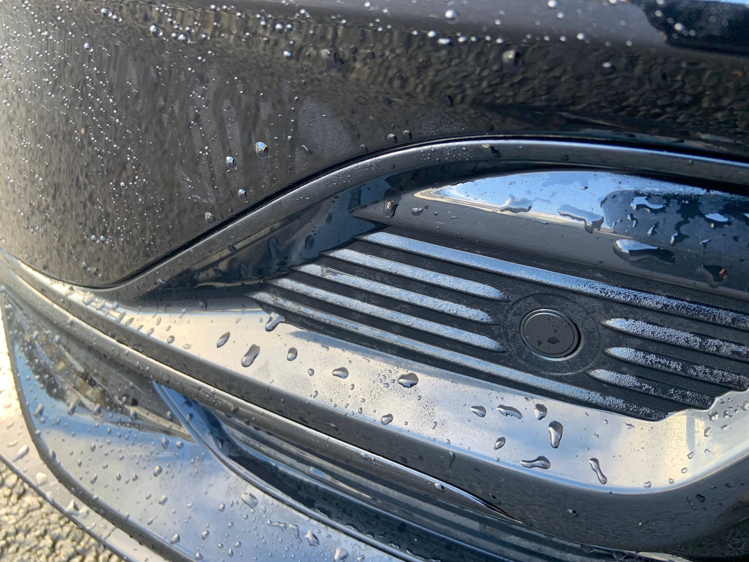 Used Ford Focus 2023 for sale - 78122791: Photo 4