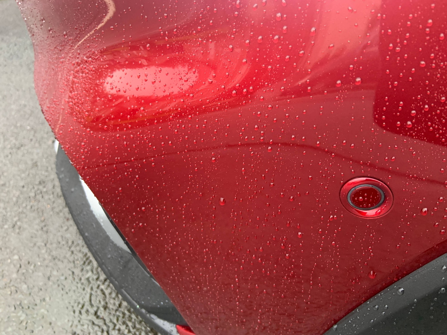 Used Ford Focus 2020 for sale - 77493814: Photo 4