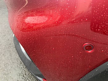 Used Ford Focus 2020 for sale - 77493814: Photo