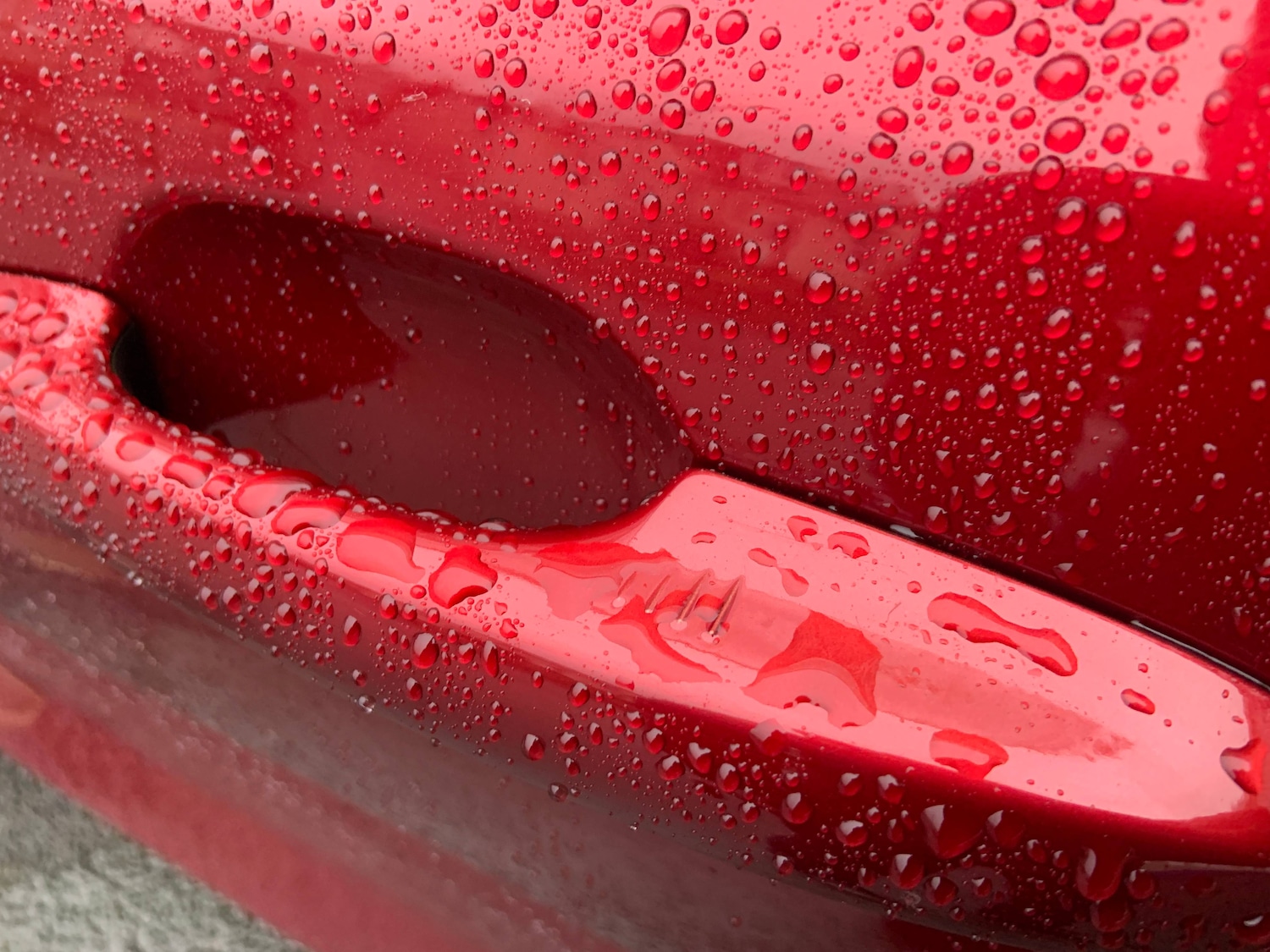 Used Ford Focus 2020 for sale - 77493814: Photo 5