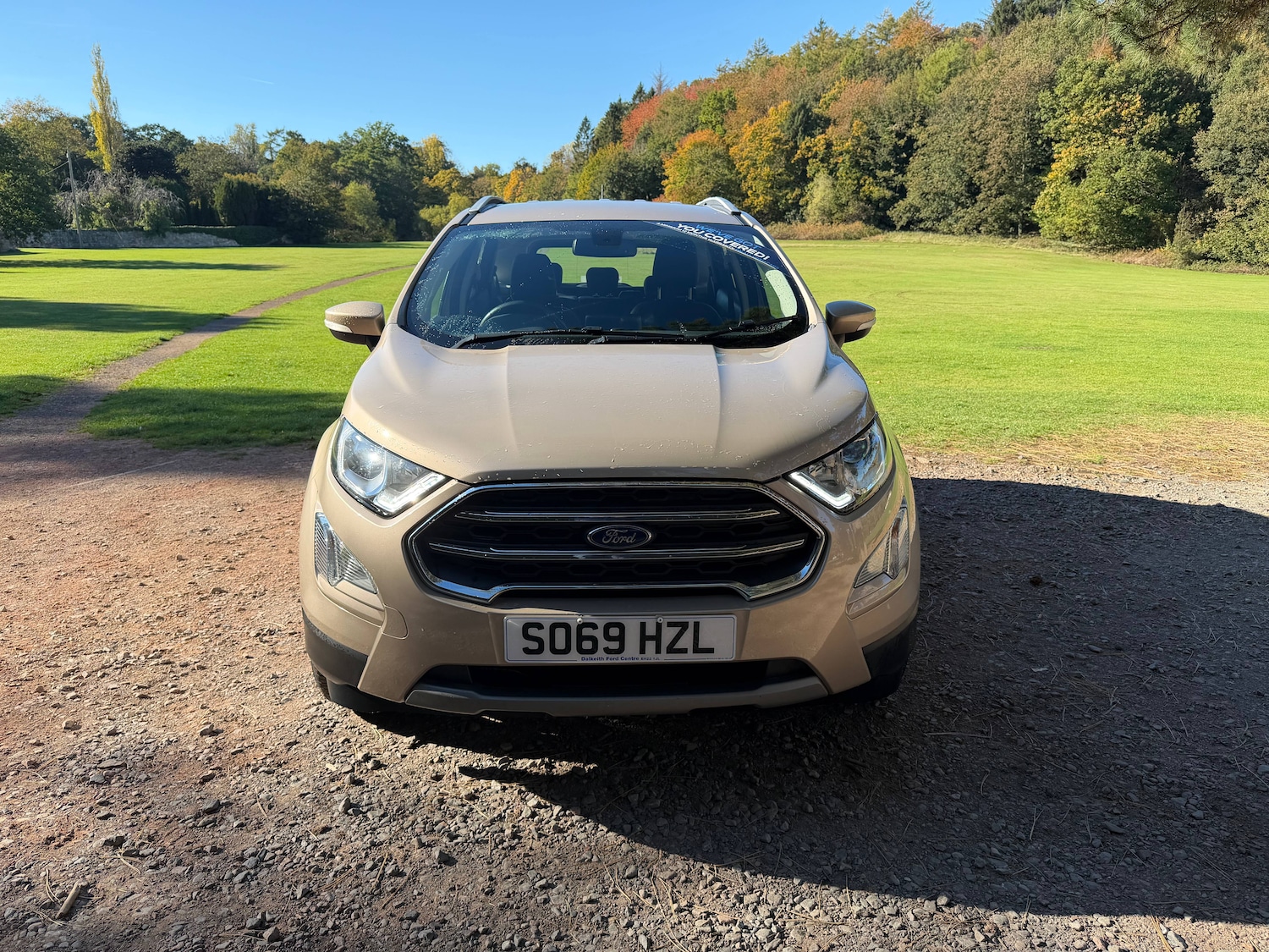 Used Ford Ecosport 2019 for sale - 76243883: Photo 6