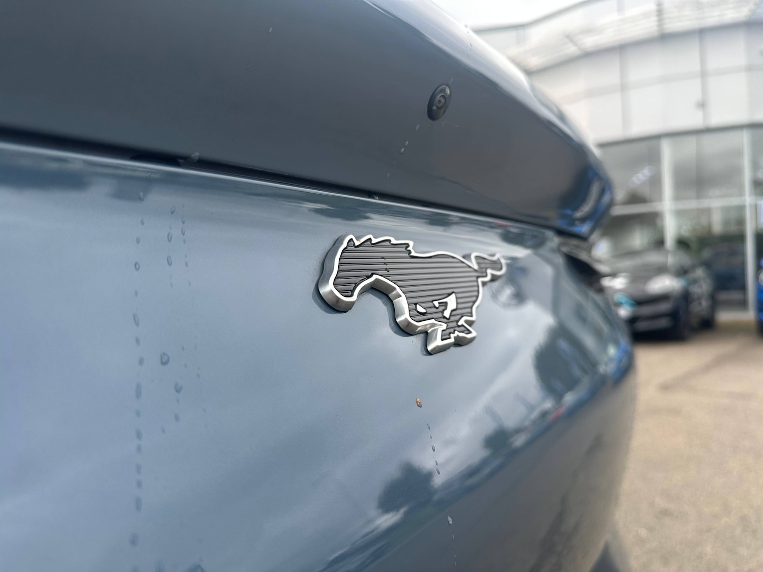 Used Ford Mustang Mach-E 2024 for sale - 76403405: Photo 13