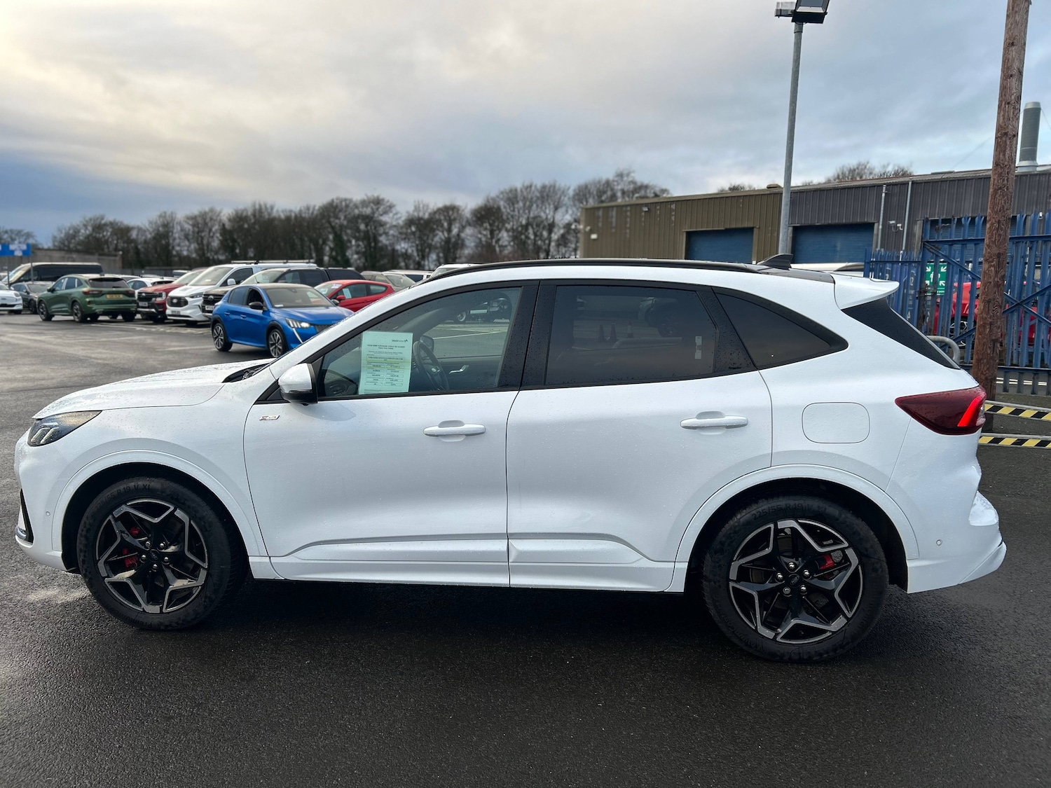 Used Ford Kuga for sale - 77261194: Photo 4