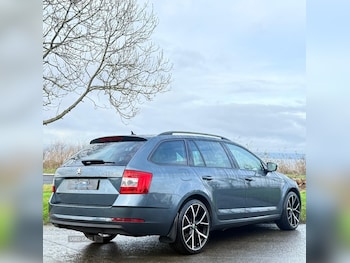 Used Skoda Octavia 2019 for sale - 76667791: Photo