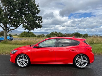 Used Ford Focus 2019 for sale - 79213438: Photo