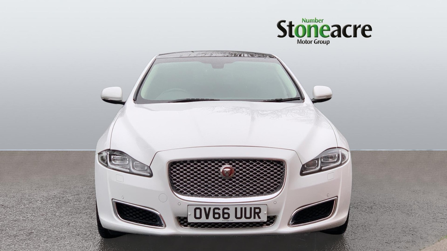 Used Jaguar XJ 2016 for sale - 76965178: Photo 8