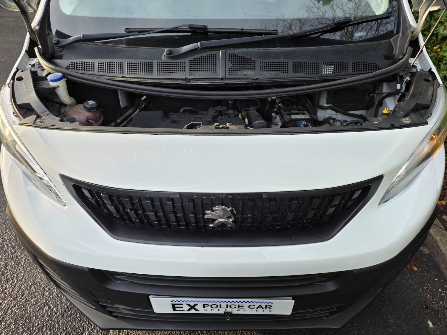 Used Peugeot Expert 2022 for sale - 75776296: Photo 14