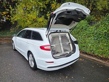 Used Ford Mondeo 2019 for sale - 79825681: Photo