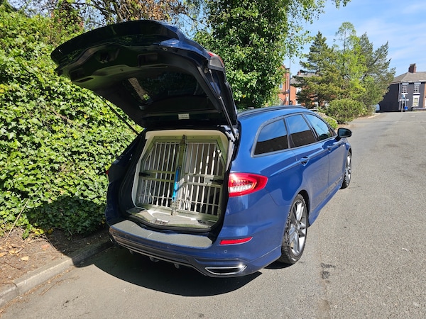 Used Ford Mondeo 2019 for sale - 74362797: Photo 11