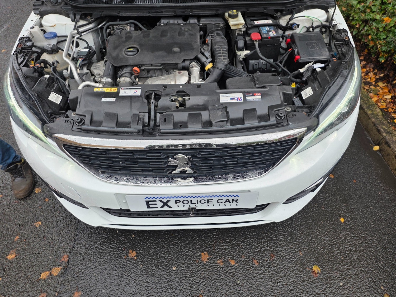 Used Peugeot 308 2021 for sale - 75925629: Photo 14