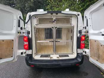 Used Citroen Dispatch 2018 for sale - 74035700: Photo