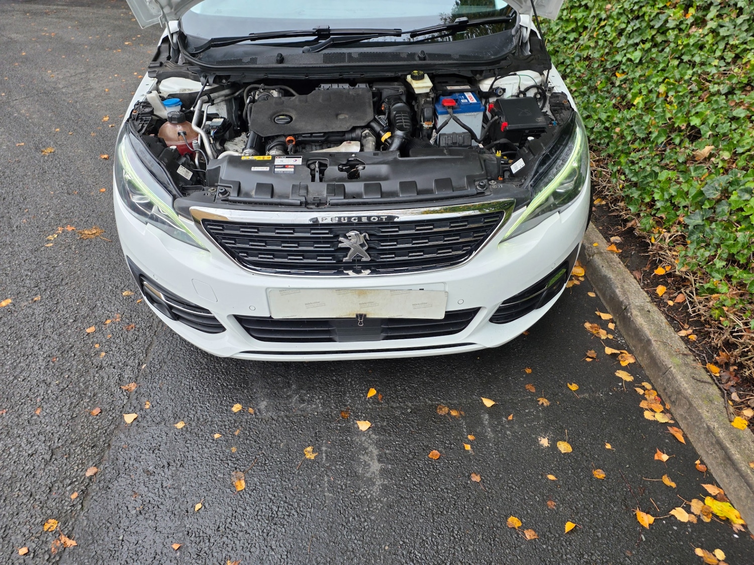 Used Peugeot 308 SW 2021 for sale - 76265376: Photo 17