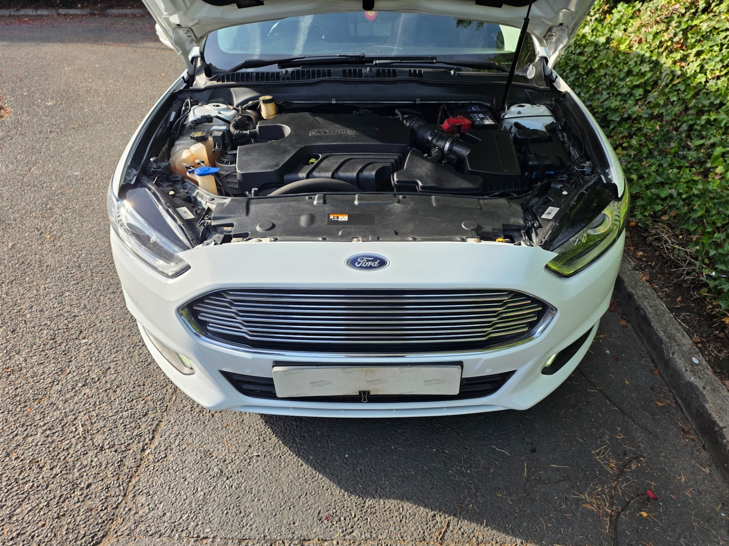 Used Ford Mondeo 2019 for sale - 75925638: Photo 13