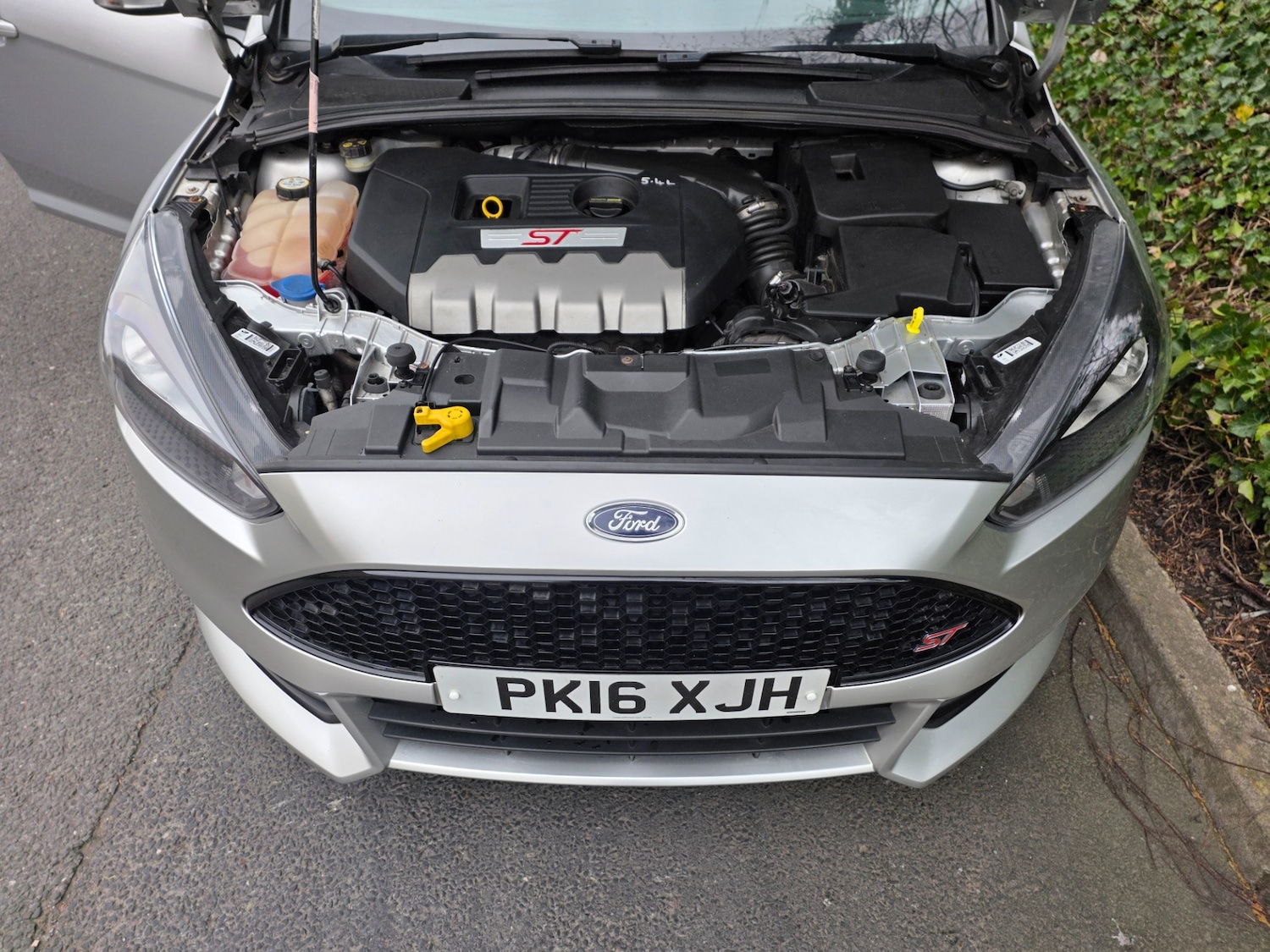 Used Ford Focus 2016 for sale - 77605284: Photo 17