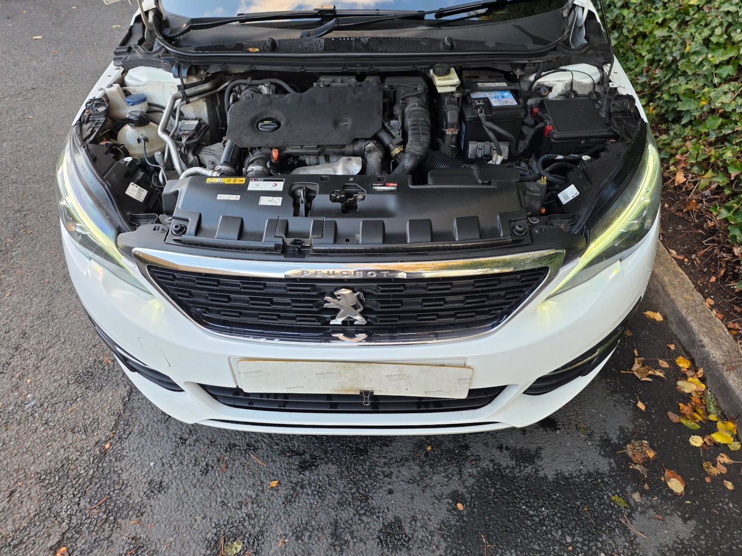 Used Peugeot 308 2020 for sale - 76011926: Photo 16