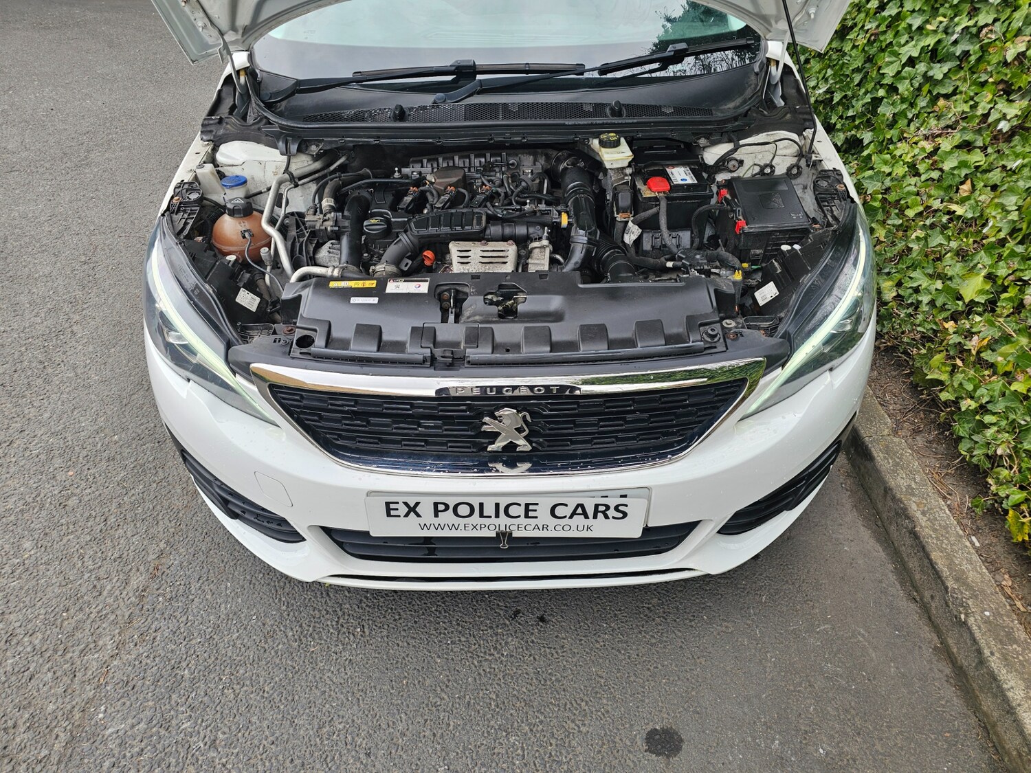 Used Peugeot 308 2017 for sale - 76951529: Photo 10