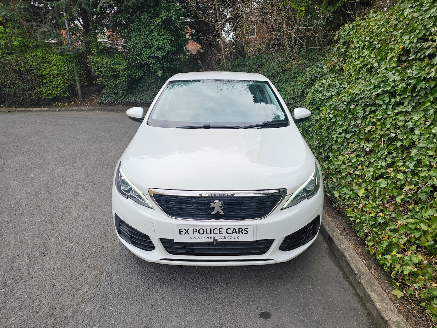 Used Peugeot 308 2017 for sale - 76951529: Photo 3
