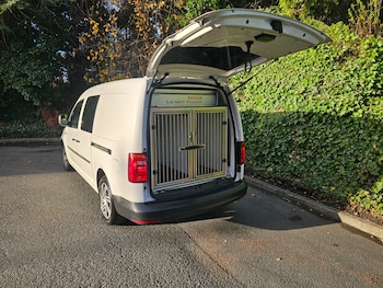 Used Volkswagen Caddy Maxi 2018 for sale - 76380249: Photo