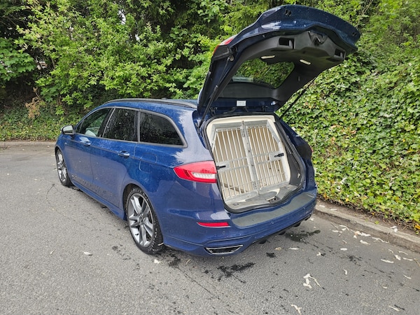 Used Ford Mondeo 2019 for sale - 74339490: Photo 1