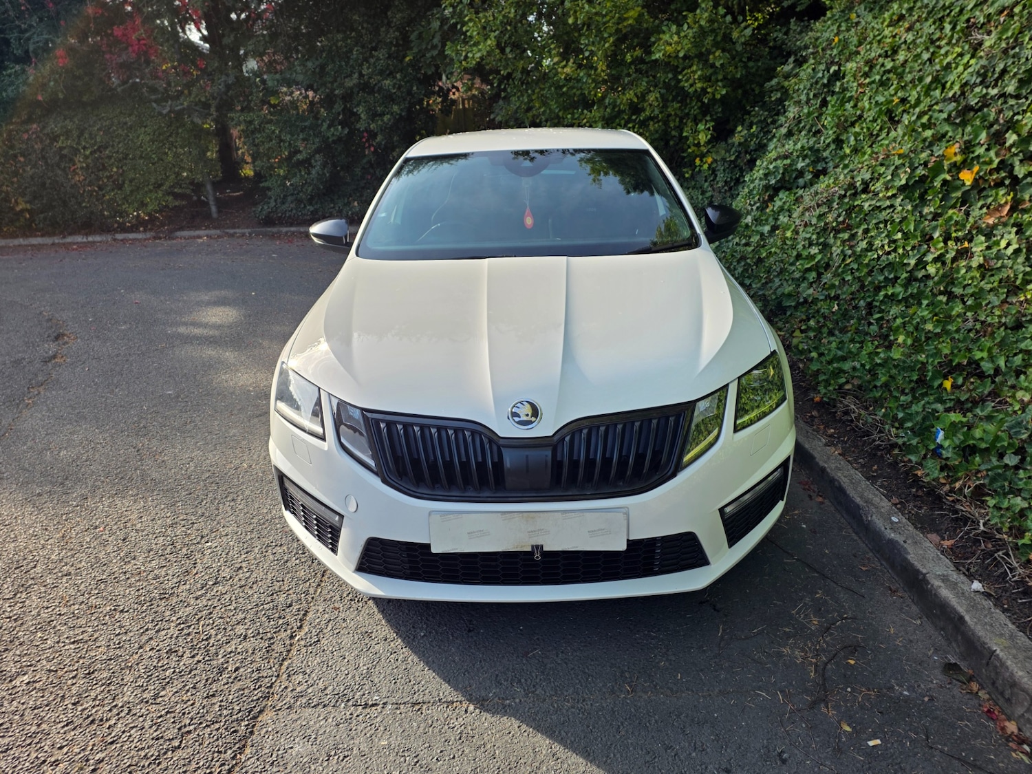 Used Skoda Octavia 2019 for sale - 75944255: Photo 3