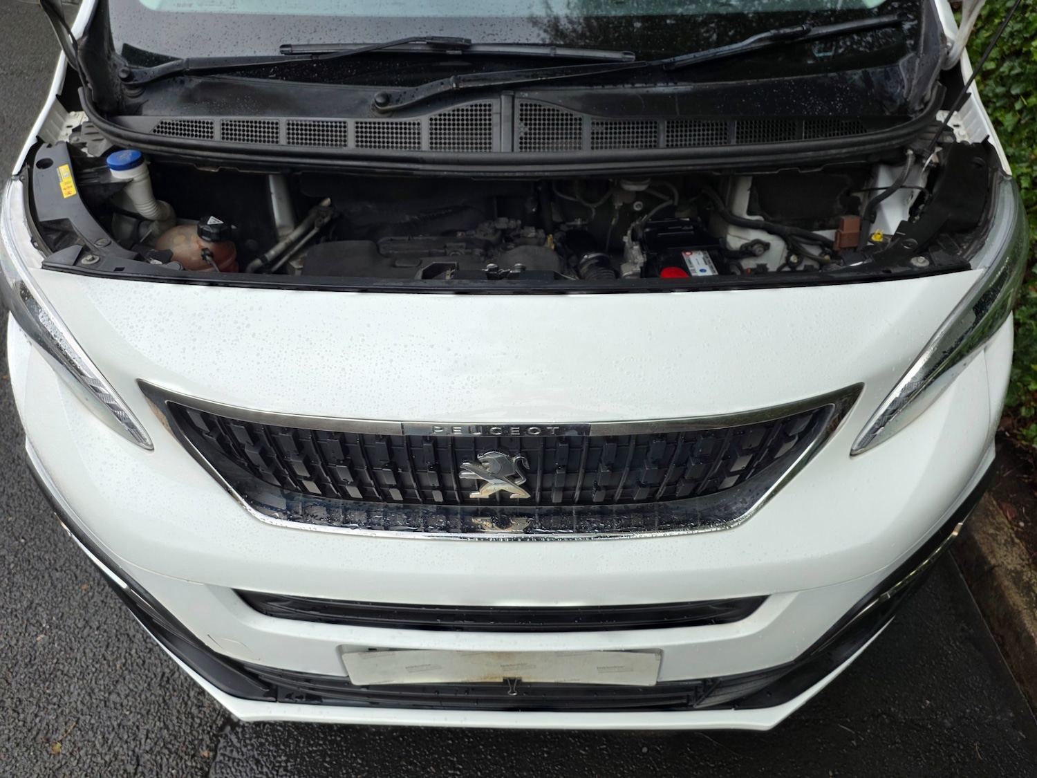 Used Peugeot Expert 2019 for sale - 76313614: Photo 10