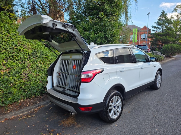 Used Ford Kuga 2019 for sale - 75522337: Photo 1