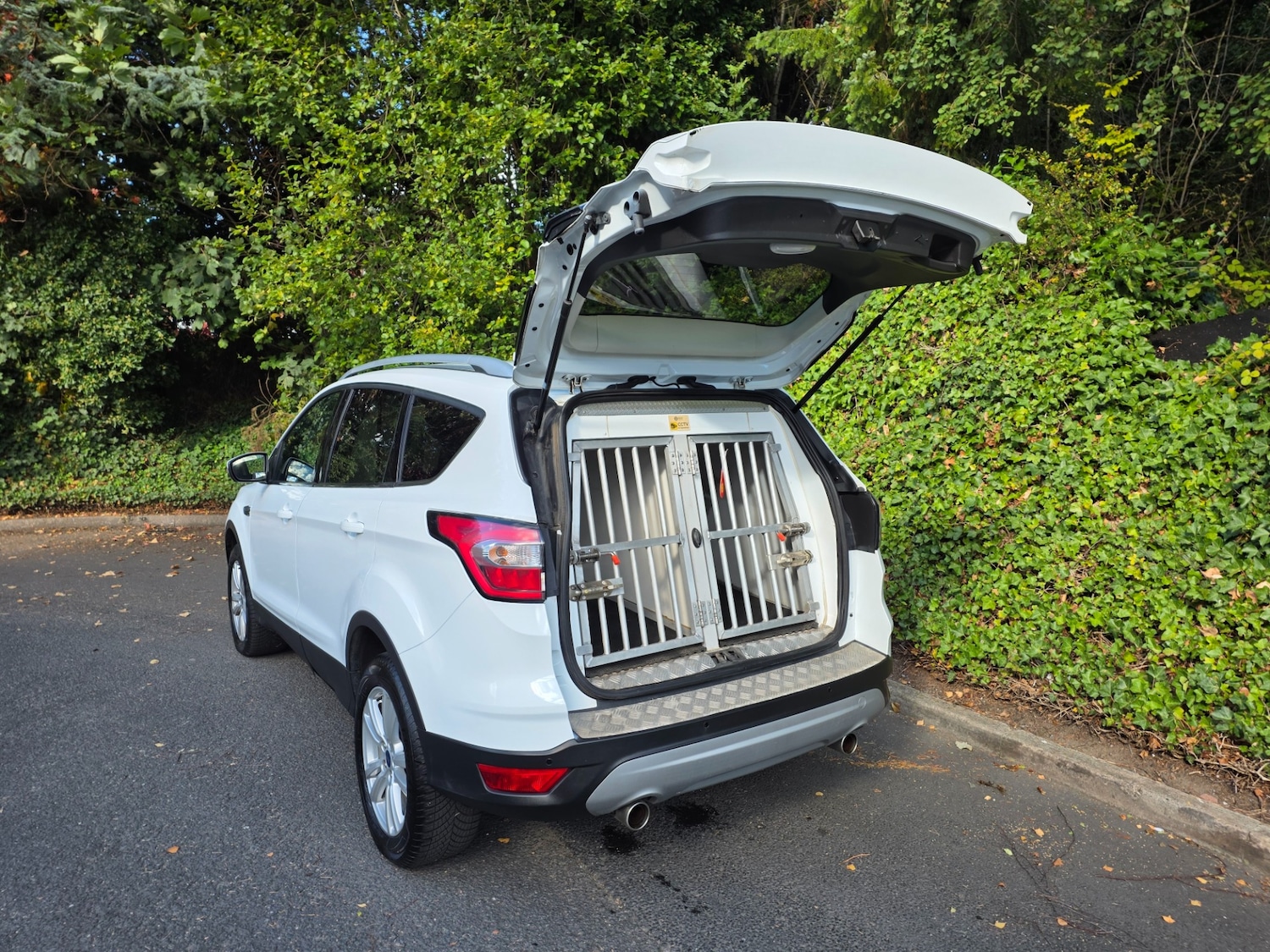 Used Ford Kuga 2019 for sale - 75522337: Photo 5