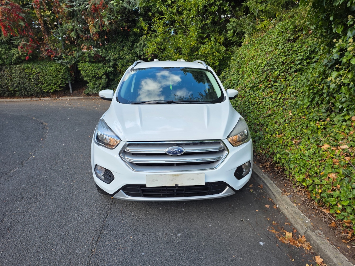 Used Ford Kuga 2019 for sale - 75522337: Photo 7