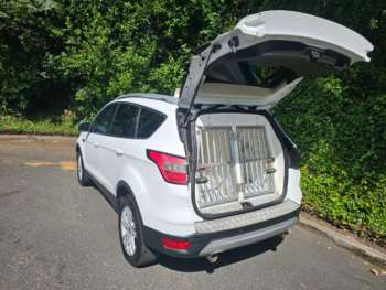 Used Ford Kuga 2019 for sale - 74894410: Photo