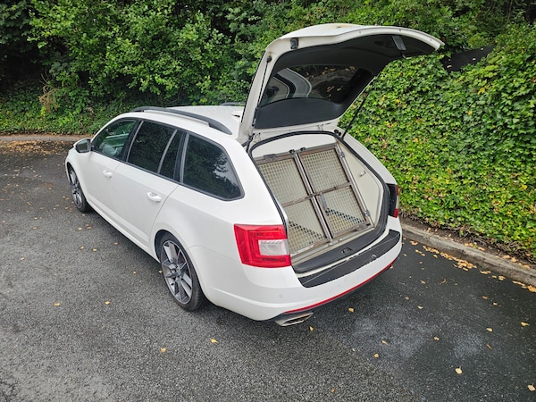 Used Skoda Octavia 2017 for sale - 74484024: Photo 3