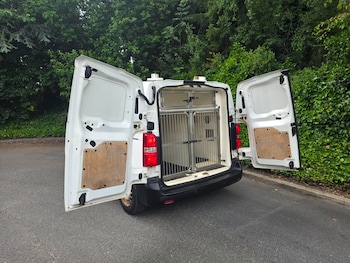 Used Citroen Dispatch 2025 for sale - 78993505: Photo