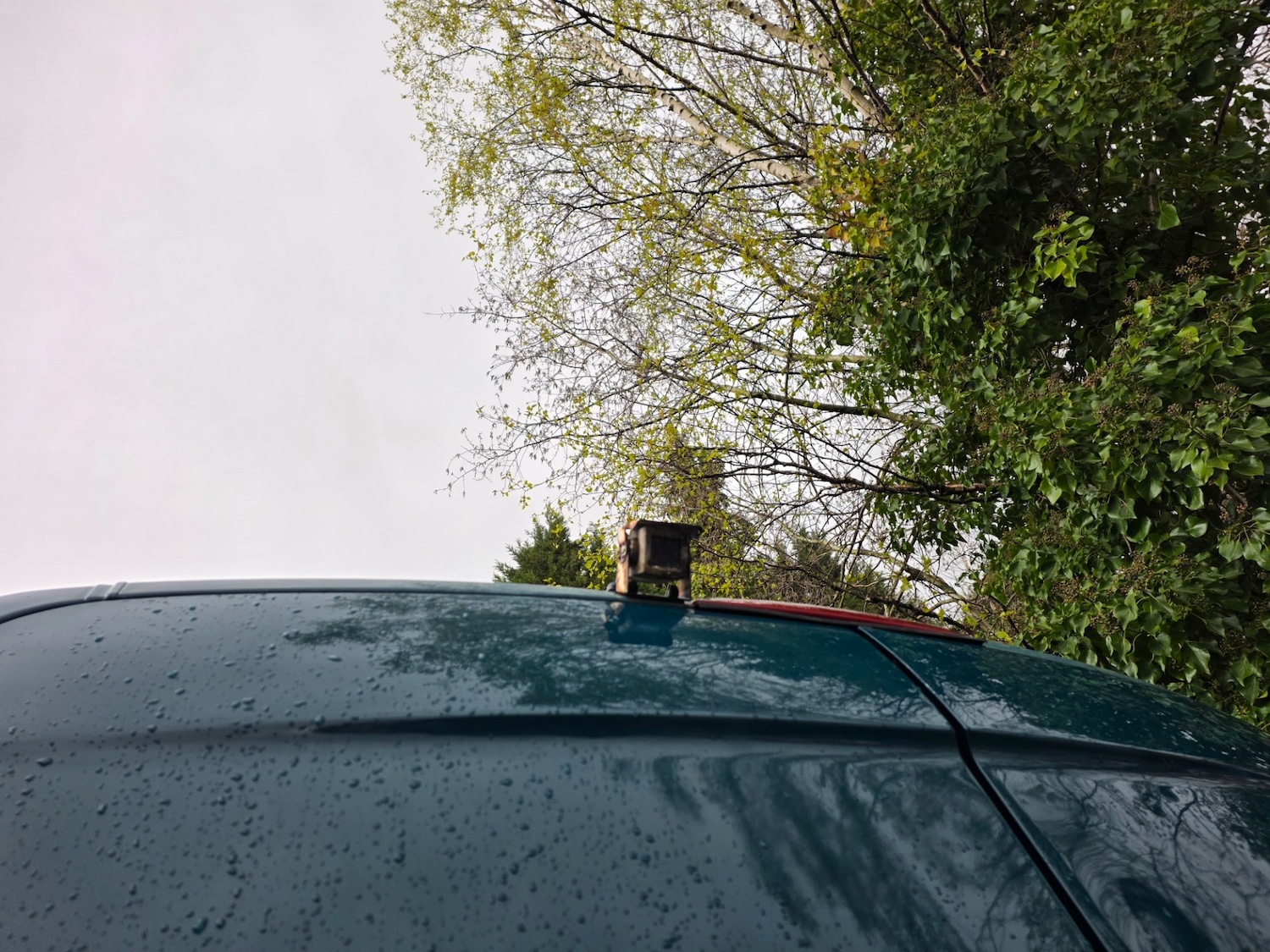 Used Mercedes-Benz Sprinter 2010 for sale - 78032066: Photo 10