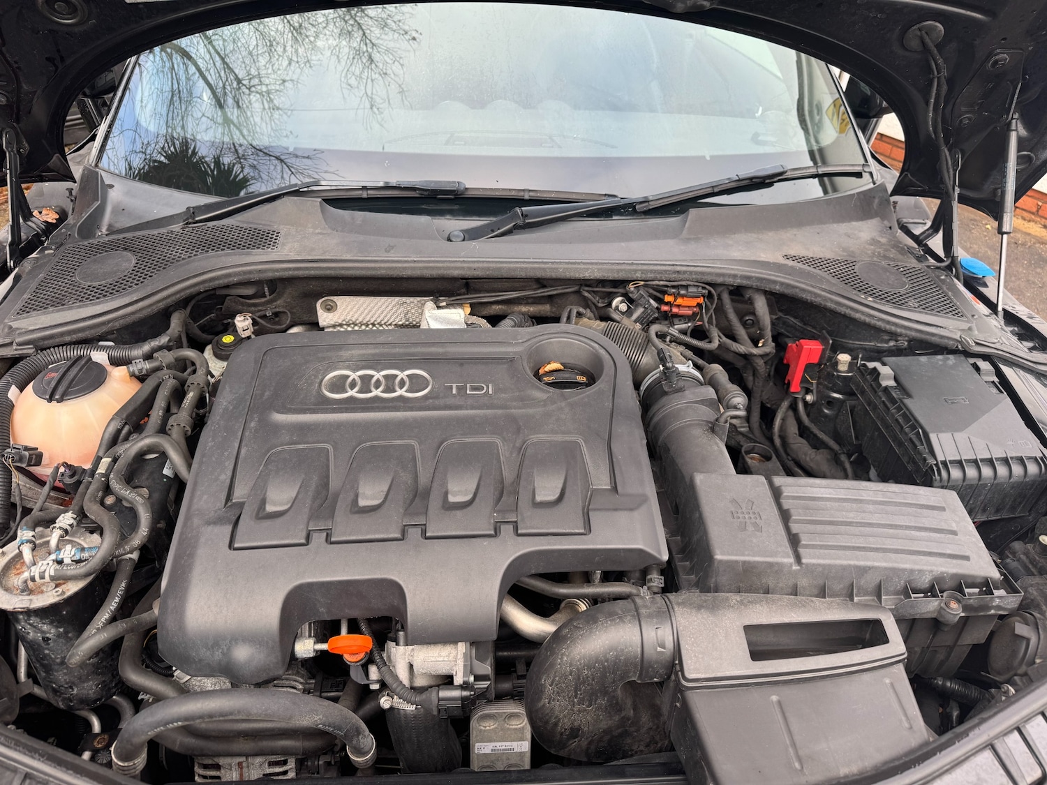 Used Audi TT 2012 for sale - 76831865: Photo 27