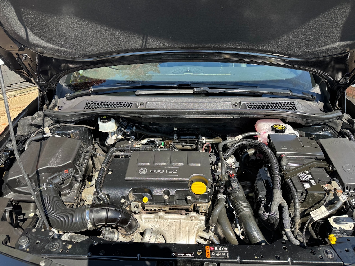 Vehicle 29