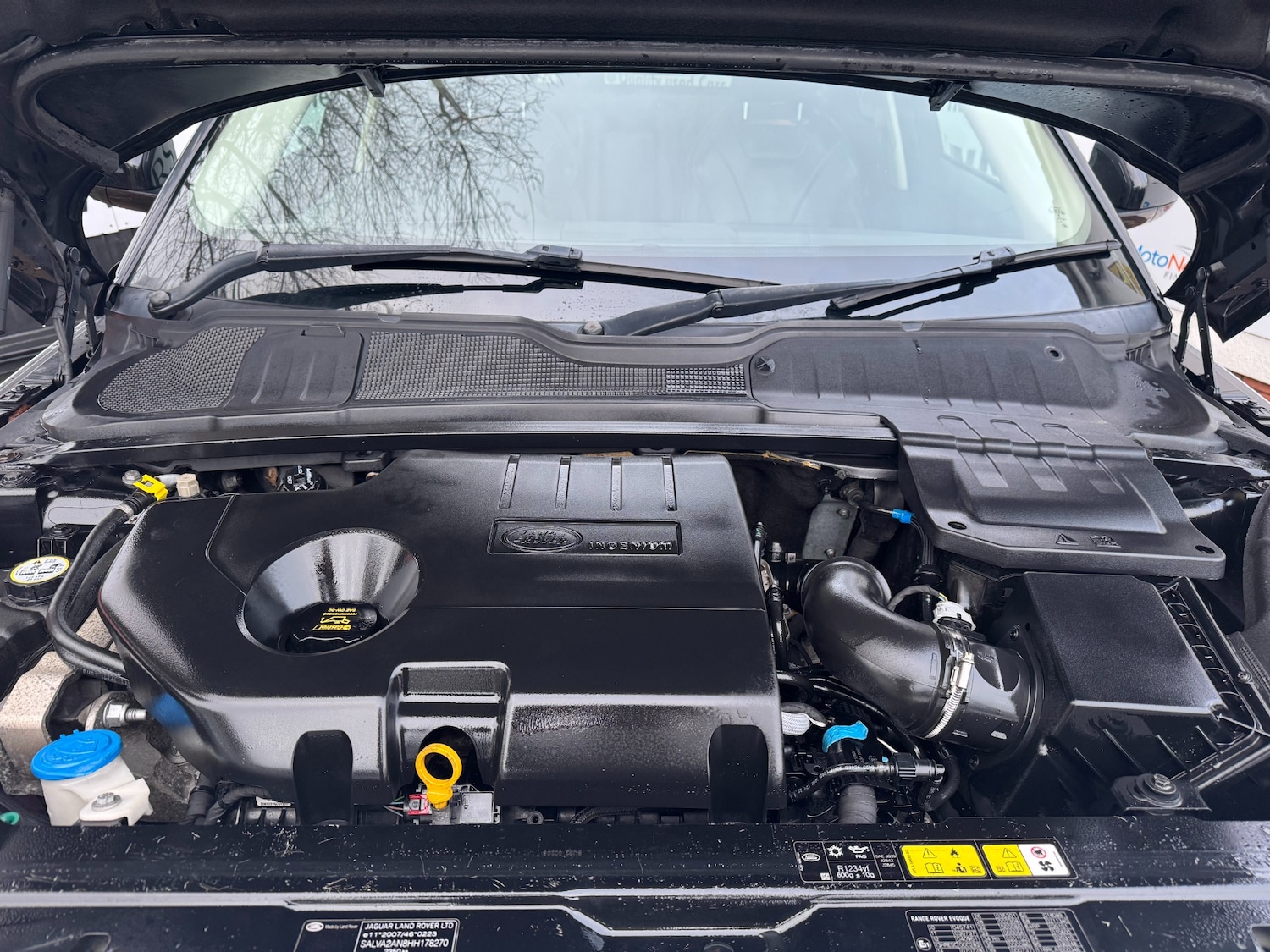 Used Land Rover Range Rover Evoque 2016 for sale - 77247892: Photo 31