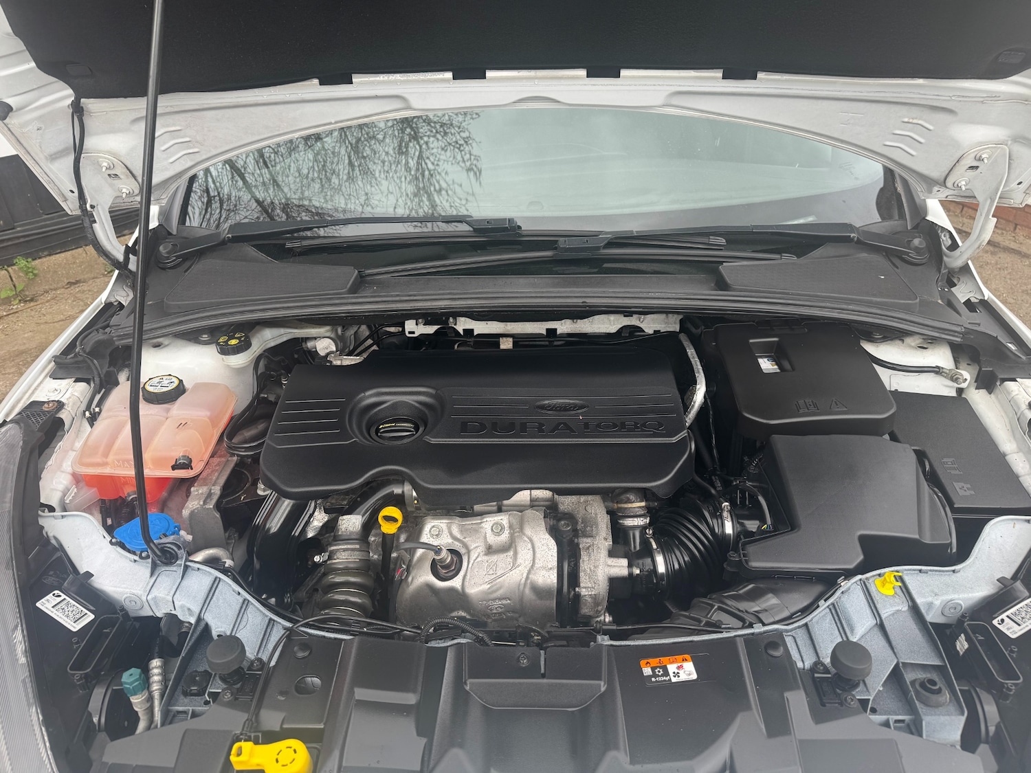 Used Ford Focus 2017 for sale - 77639831: Photo 32