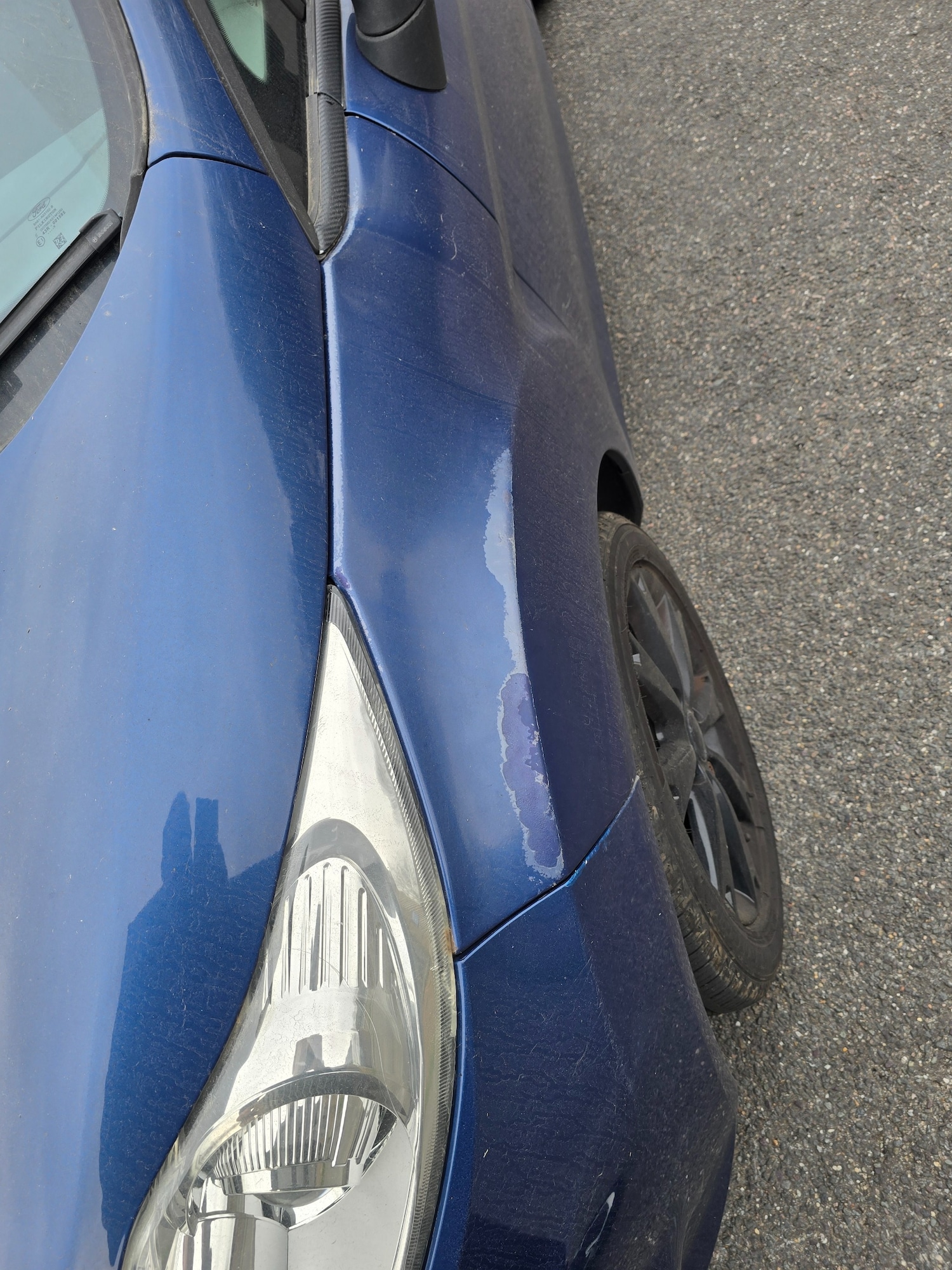 Used Ford Fiesta 2009 for sale - 77990337: Photo 21