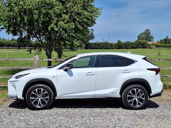 Used Lexus NX 2017 for sale - 78520185: Photo