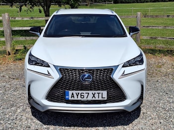 Used Lexus NX 2017 for sale - 78520185: Photo