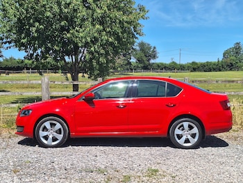 Used Skoda Octavia 2016 for sale - 78979737: Photo
