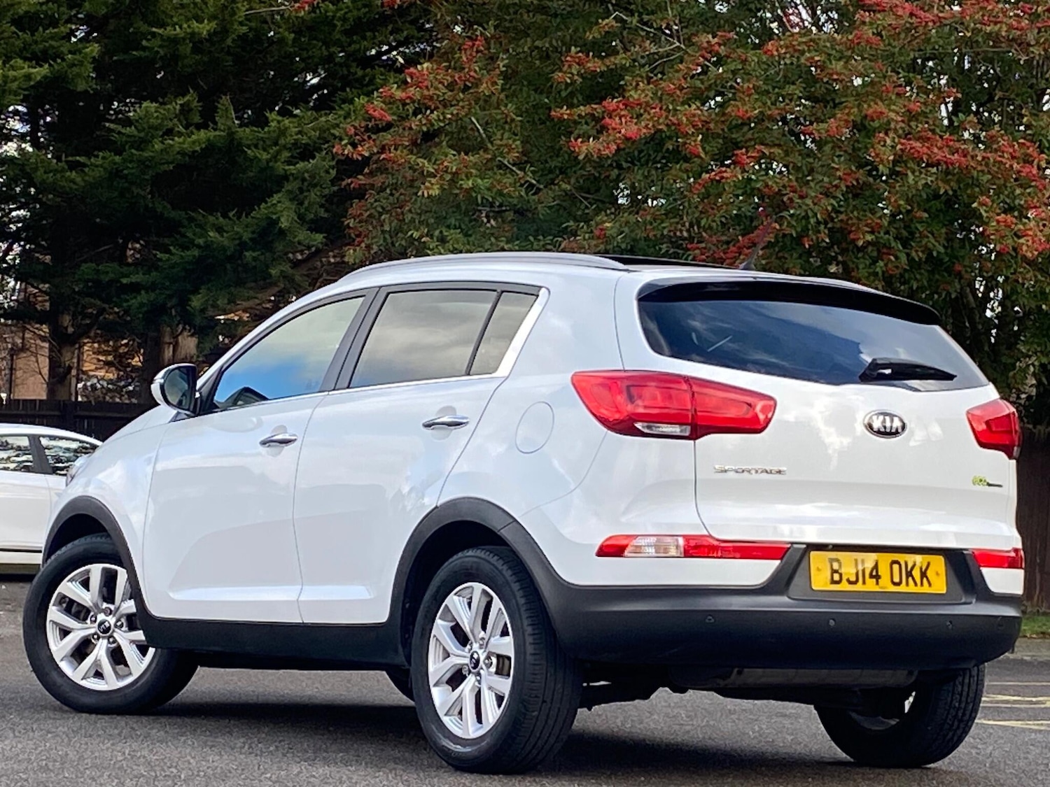 Used Kia Sportage for sale - 77753171: Photo 14