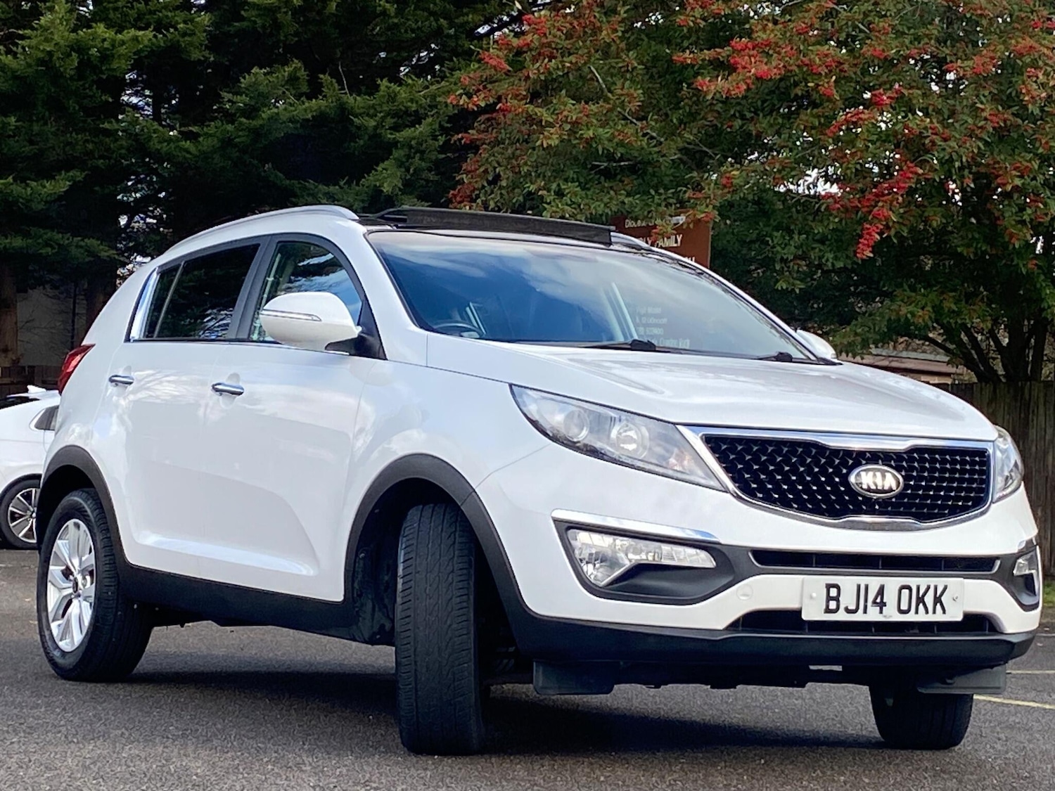 Used Kia Sportage for sale - 77753171: Photo 17